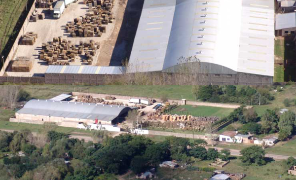 tratamiento termico